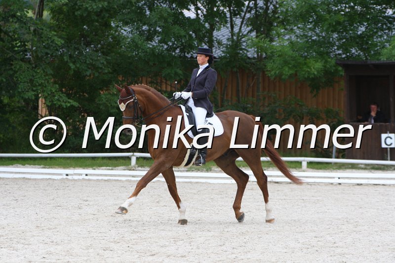 097M7695_Liggis Kameo.JPG